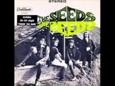The Seeds The Seeds 1966 FULL ALBUM