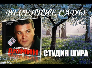 Александр Дюмин - Весенние сады (Студия Шура) шансон клип 2015