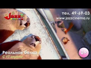 Jazz Cinema - Реальная белка с 17.04.14 || pmmgroup.ru - ВидеоРекламаHD Online в Магнитогорске