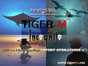 Enigma - Incognito (K-Man Birthday Remix 2009) [TIGER M]
