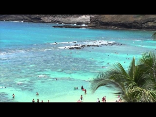 Hawaii 2013 The Movie