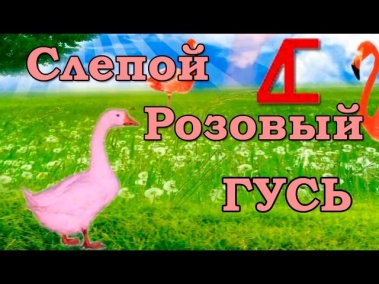 СЛЕПОЙ РОЗОВЫЙ ГУСЬ