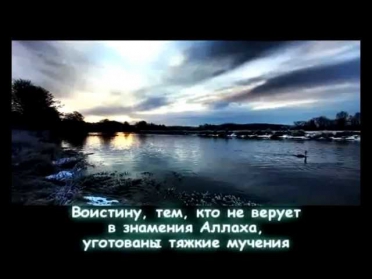 Лечение от колдовства Мишари бин Рашид аль-Афаси.flv