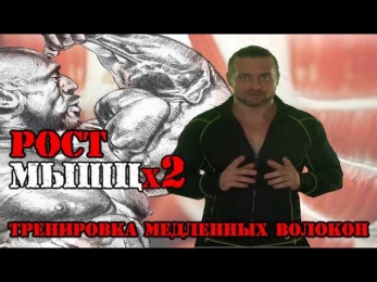 РОСТх2 (Медленные Мышечные Волокна)