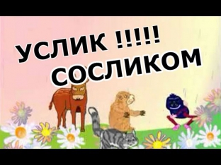 Паукан, мокренькая кисонька :D выносит напрочь! meow!