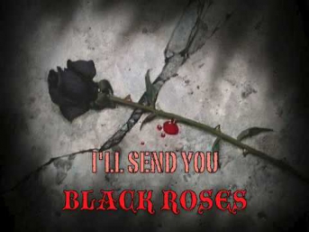 The Rasmus 10 Black Roses - LYRICS