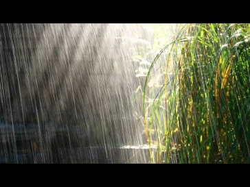 медитация, релаксация, музыка, шум дождя. Meditation, relaxation, music, the sound of rain,