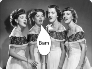 Mr. Sandman - The Chordettes