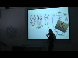 [Neuroscience in Education] Зоя Федотова 