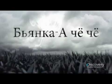 LPS Бьянка- А чё чё (Новая версия 2013)