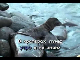 Караоке ► Русские Песни ♫  Холодная луна ♫ Karaoke