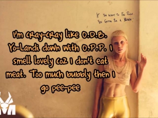 Die Antwoord - Cookie Thumper Lyrics