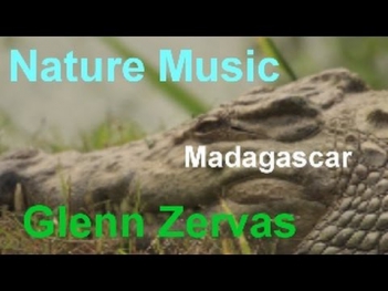 Nature Music - Madagascar: Lemurs and Lizards - Glenn Zervas