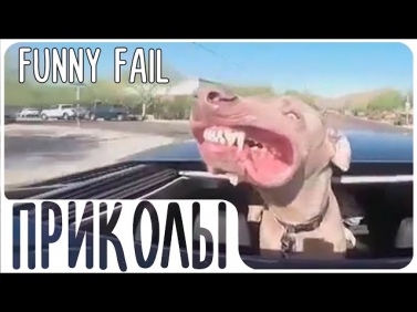 ЛУЧШИЕ ПРИКОЛЫ #25 ★FUNNY FAIL★