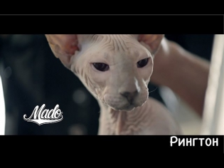 MADO - Рингтон (Official Video)
