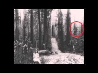 Тонкий человек (Slender Man)