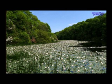 Relaxing Beautiful Music/Прекрасная музыка для медитации 4