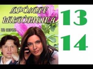 Аромат шиповника 13-14 серия 2014 Мелодрама Смотреть в хорошем качестве HD