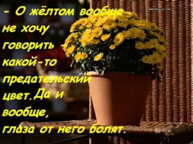 КАКОГО ЦВЕТА ТВОЯ ЛЮБОВЬ).flv